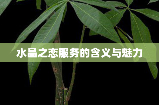 水晶之恋服务的含义与魅力