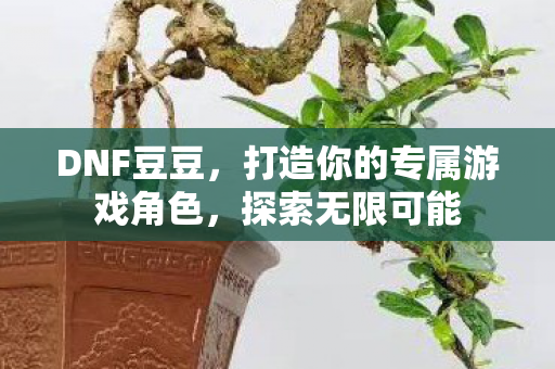 DNF豆豆，打造你的专属游戏角色，探索无限可能