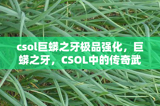 csol巨蟒之牙极品强化，巨蟒之牙，CSOL中的传奇武器
