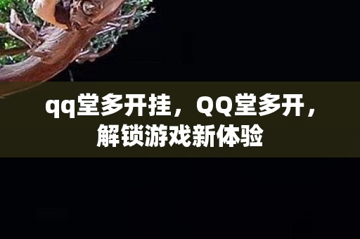 qq堂多开挂，QQ堂多开，解锁游戏新体验
