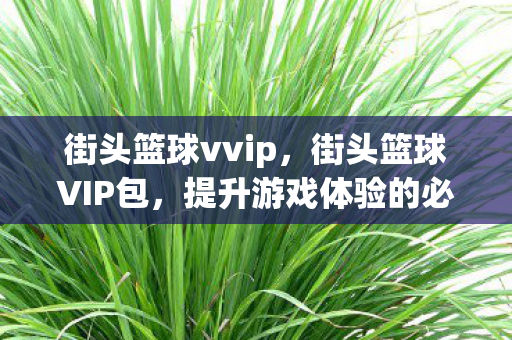 街头篮球vvip，街头篮球VIP包，提升游戏体验的必备神器