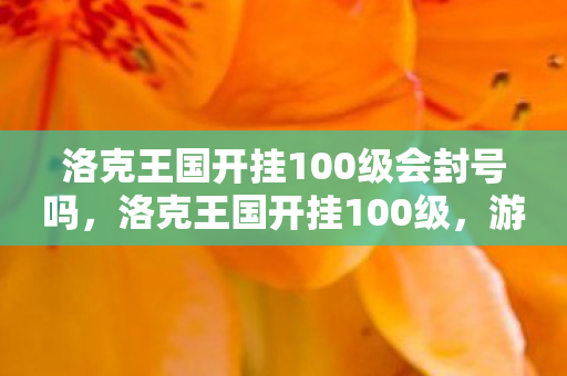 洛克王国开挂100级会封号吗，洛克王国开挂100级，游戏与规则的边界