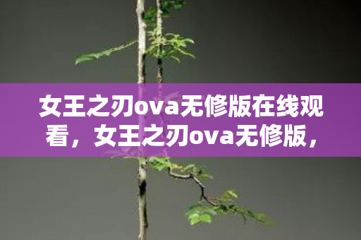 女王之刃ova无修版在线观看，女王之刃ova无修版，一场视觉与心灵的盛宴