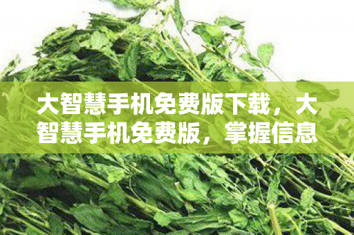 大智慧手机免费版下载,大智慧手机免费版,掌握信息,洞悉市场 大智慧手机免费版下载,大智慧手机免费版,掌握信息,洞悉市场