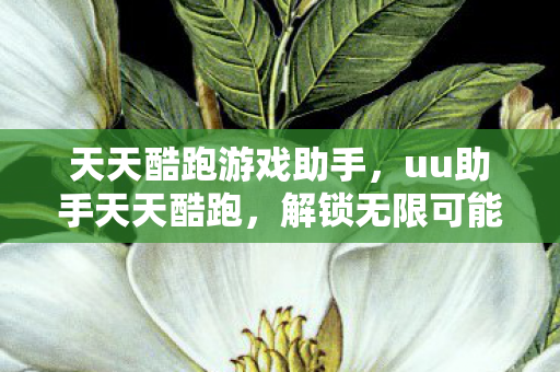 天天酷跑游戏助手，uu助手天天酷跑，解锁无限可能的跑酷新体验