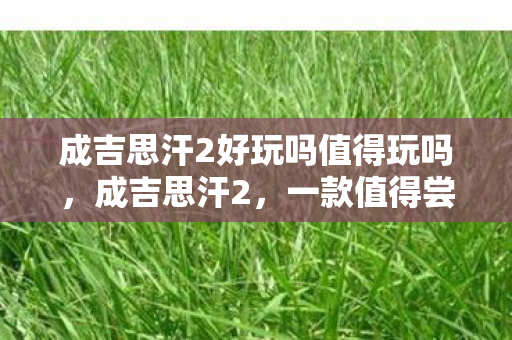 成吉思汗2好玩吗值得玩吗，成吉思汗2，一款值得尝试的史诗战争游戏