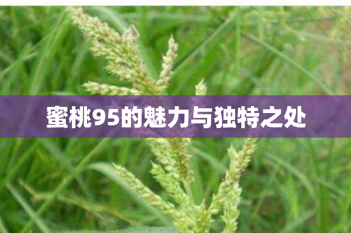 蜜桃95的魅力与独特之处