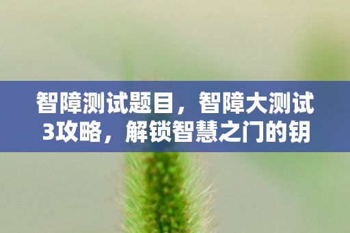 智障测试题目,智障大测试3攻略,解锁智慧之门的钥匙 智障测试题目,智障大测试3攻略,解锁智慧之门的钥匙