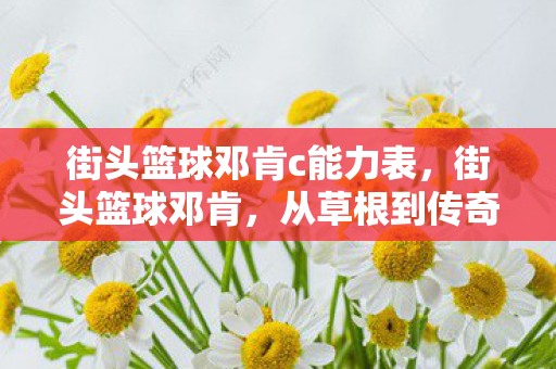 街头篮球邓肯c能力表，街头篮球邓肯，从草根到传奇的篮球之旅