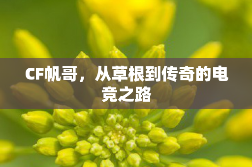 CF帆哥,从草根到传奇的电竞之路 CF帆哥,从草根到传奇的电竞之路