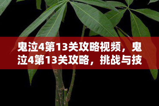 鬼泣4第13关攻略视频，鬼泣4第13关攻略，挑战与技巧详解
