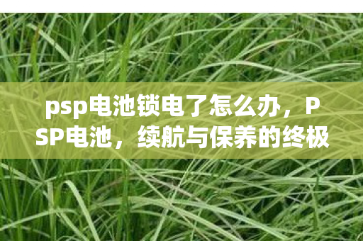 psp电池锁电了怎么办，PSP电池，续航与保养的终极指南