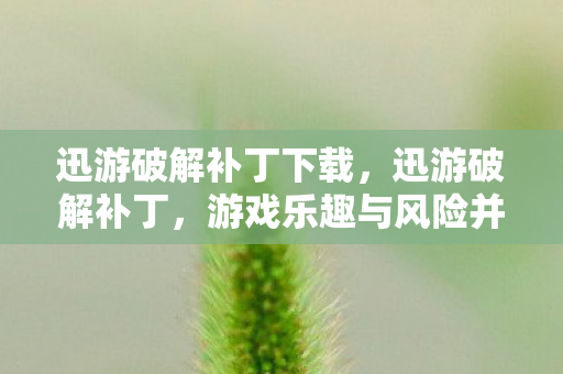 迅游破解补丁下载，迅游破解补丁，游戏乐趣与风险并存