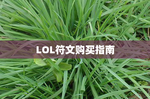 LOL符文购买指南