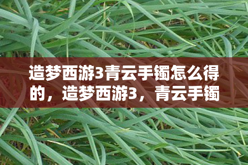 造梦西游3青云手镯怎么得的，造梦西游3，青云手镯获取攻略