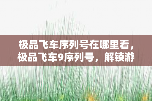 极品飞车序列号在哪里看,极品飞车9序列号,解锁游戏世界的钥匙 极品飞车序列号在哪里看,极品飞车9序列号,解锁游戏世界的钥匙