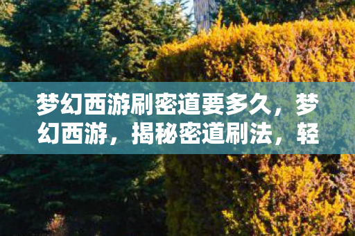 梦幻西游刷密道要多久，梦幻西游，揭秘密道刷法，轻松提升角色实力