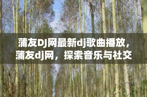 蒲友DJ网最新dj歌曲播放，蒲友dj网，探索音乐与社交的奇妙交汇