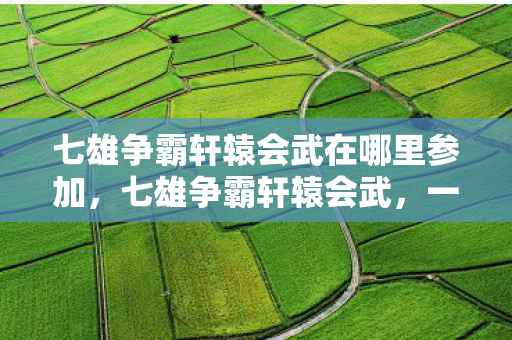 七雄争霸轩辕会武在哪里参加，七雄争霸轩辕会武，一场跨越时空的王者之战