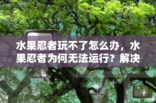 水果忍者玩不了怎么办，水果忍者为何无法运行？解决攻略与原因分析