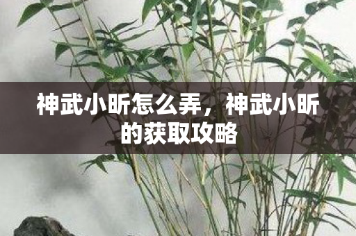 神武小昕怎么弄，神武小昕的获取攻略