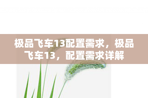 极品飞车13配置需求，极品飞车13，配置需求详解