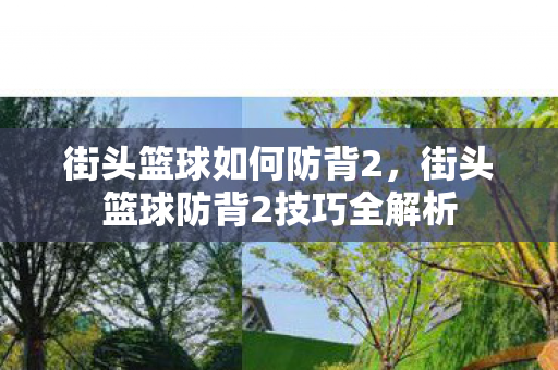 街头篮球如何防背2，街头篮球防背2技巧全解析