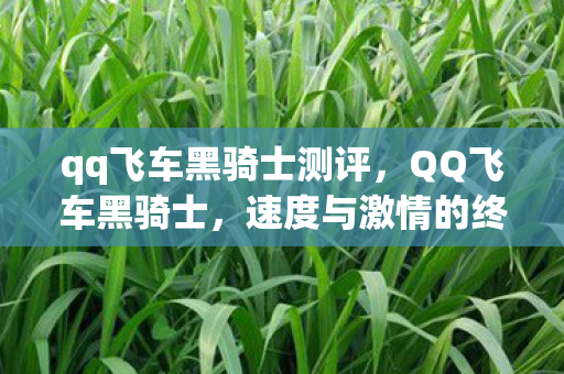 qq飞车黑骑士测评，QQ飞车黑骑士，速度与激情的终极挑战