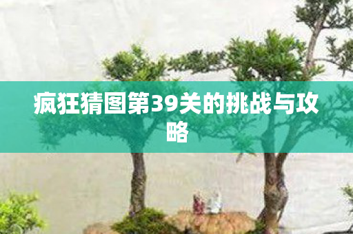 疯狂猜图第39关的挑战与攻略