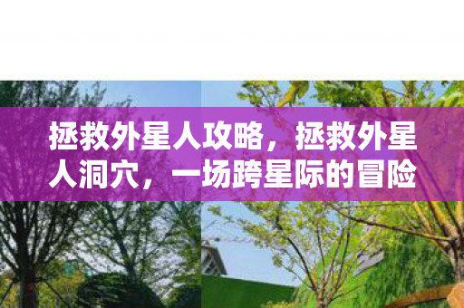 拯救外星人攻略，拯救外星人洞穴，一场跨星际的冒险