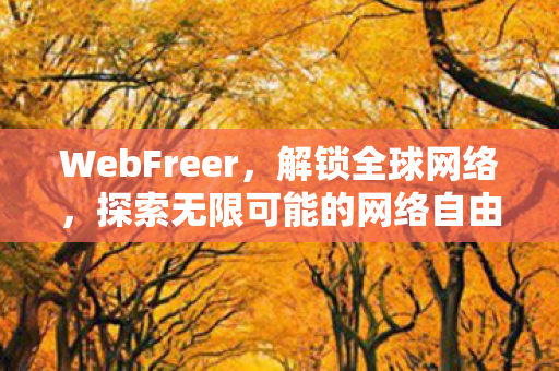 WebFreer，解锁全球网络，探索无限可能的网络自由之旅