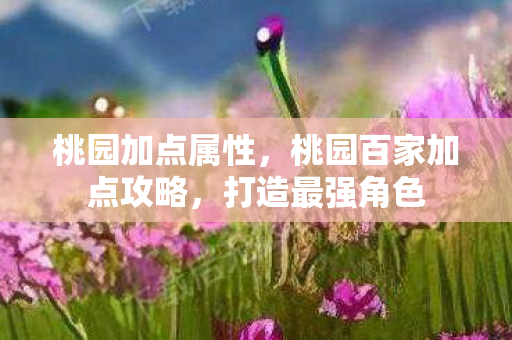 桃园加点属性，桃园百家加点攻略，打造最强角色