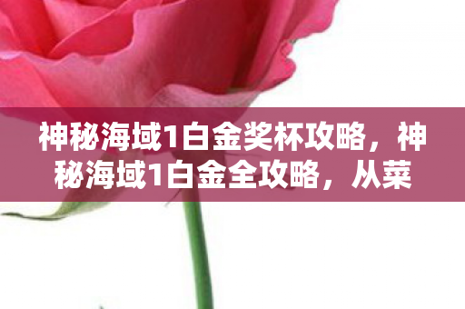 神秘海域1白金奖杯攻略，神秘海域1白金全攻略，从菜鸟到高手的探险之旅