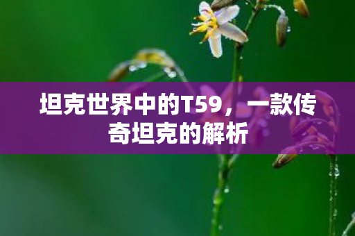 坦克世界中的T59，一款传奇坦克的解析