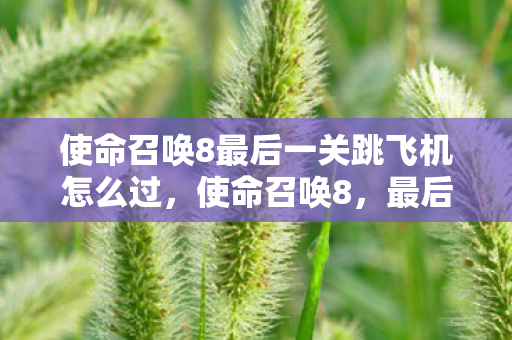 使命召唤8最后一关跳飞机怎么过，使命召唤8，最后一关的血与荣耀