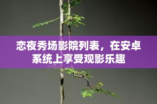 恋夜秀场影院列表，在安卓系统上享受观影乐趣