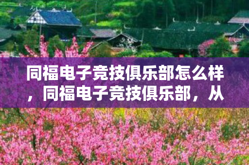 同福电子竞技俱乐部怎么样，同福电子竞技俱乐部，从草根到传奇的电竞之旅