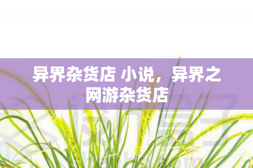 异界杂货店 小说，异界之网游杂货店
