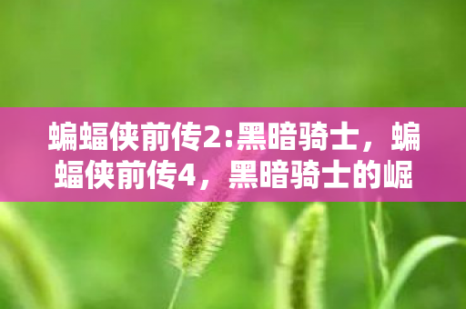 蝙蝠侠前传2:黑暗骑士，蝙蝠侠前传4，黑暗骑士的崛起