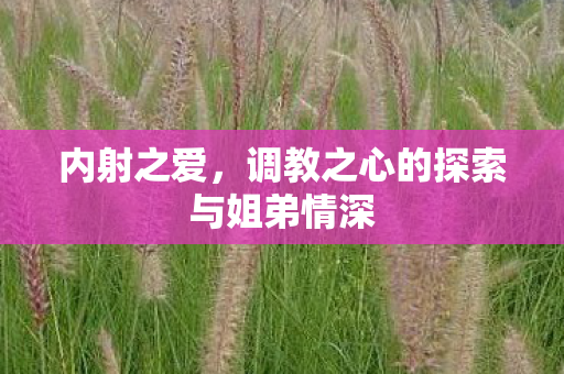 内射之爱，调教之心的探索与姐弟情深