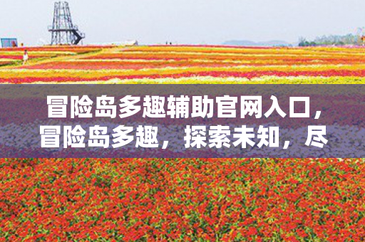 冒险岛多趣辅助官网入口,冒险岛多趣,探索未知,尽享乐趣 冒险岛多趣辅助官网入口,冒险岛多趣,探索未知,尽享乐趣