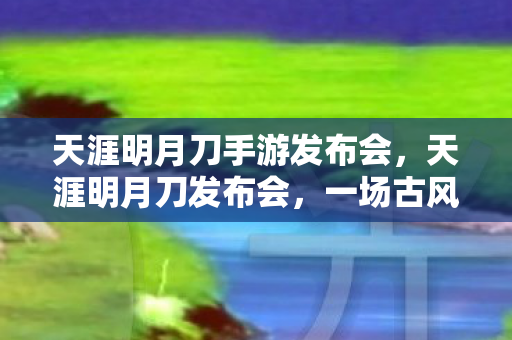 天涯明月刀手游发布会,天涯明月刀发布会,一场古风与现代科技的完美融合 天涯明月刀手游发布会,天涯明月刀发布会,一场古风与现代科技的完美融合