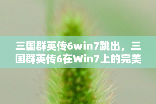 三国群英传6win7跳出，三国群英传6在Win7上的完美运行指南
