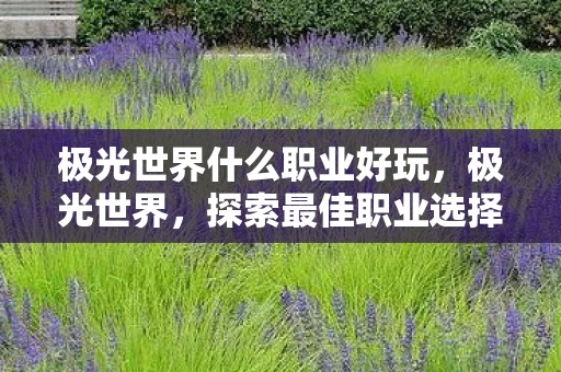 极光世界什么职业好玩,极光世界,探索最佳职业选择 极光世界什么职业好玩,极光世界,探索最佳职业选择