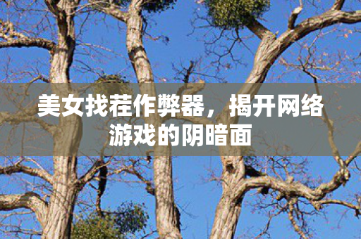 美女找茬作弊器，揭开网络游戏的阴暗面