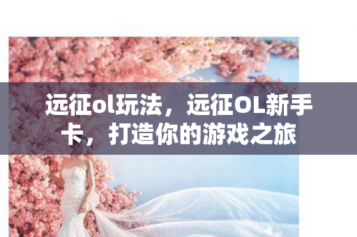 远征ol玩法，远征OL新手卡，打造你的游戏之旅