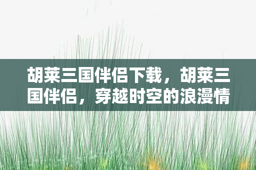 胡莱三国伴侣下载，胡莱三国伴侣，穿越时空的浪漫情缘