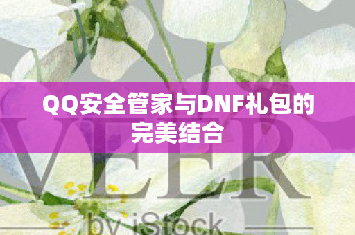 QQ安全管家与DNF礼包的完美结合