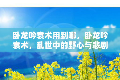 卧龙吟袁术用到哪，卧龙吟袁术，乱世中的野心与悲剧