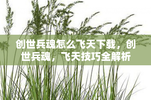 创世兵魂怎么飞天下载，创世兵魂，飞天技巧全解析